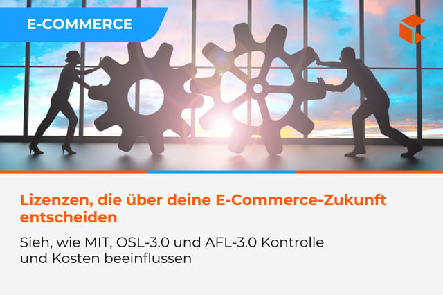 Lizenzen, die über die Zukunft deines E-Commerce entscheiden