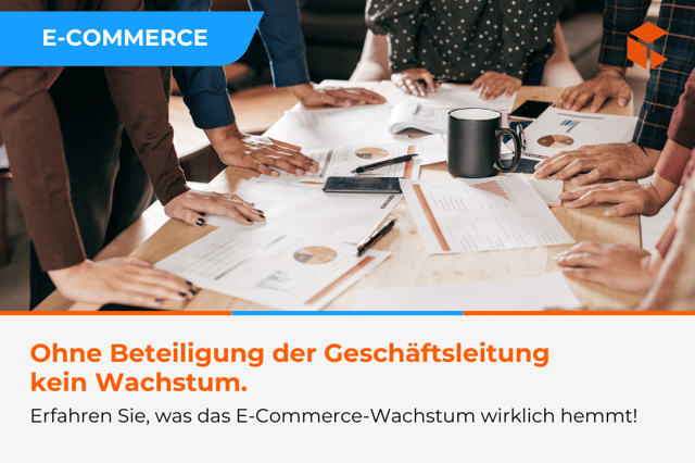 E-Commerce ohne Strategie - ein teurer Fehler, der das Unternehmenswachstum bremst
