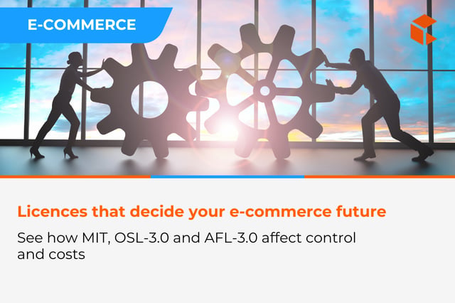 Licences that decide the future of your e-commerce