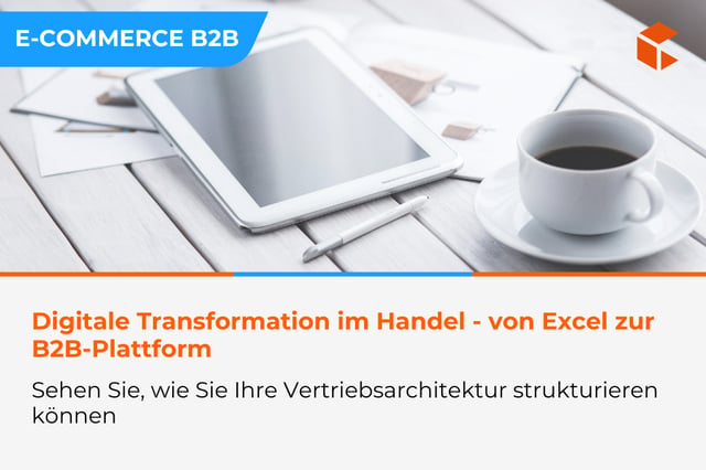 Digitale Transformation in einem Handelsunternehmen - von Excel zu einer skalierbaren B2B-Plattform