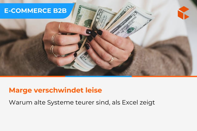 Warum veraltete E-Commerce-Systeme im B2B unbemerkt die Marge zerstören