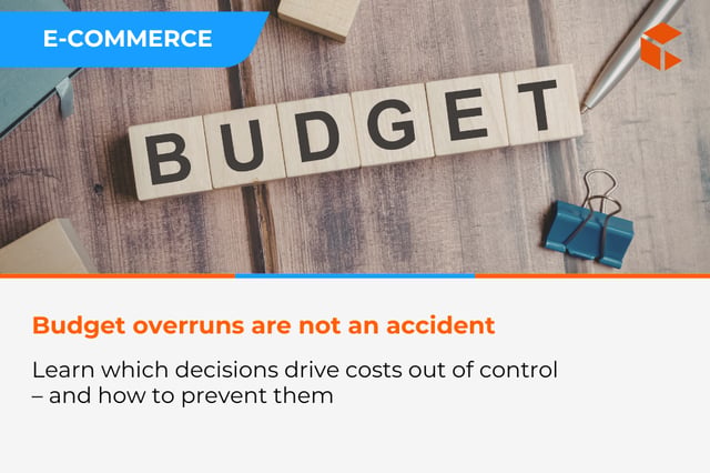 Why e-commerce projects exceed the budget - and why it is not a coincidence