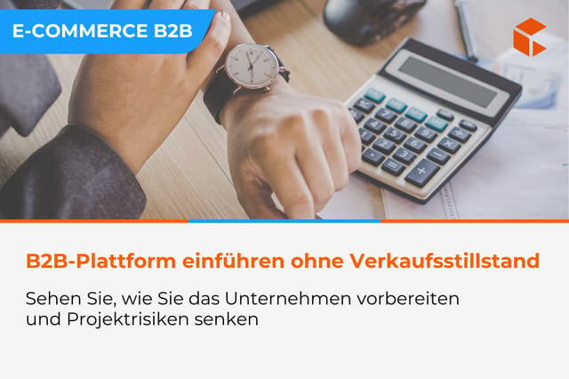 Einführung einer B2B-Plattform ohne Verkaufsunterbrechung – wie Sie Ihr Unternehmen vorbereiten und Projektrisiken reduzieren