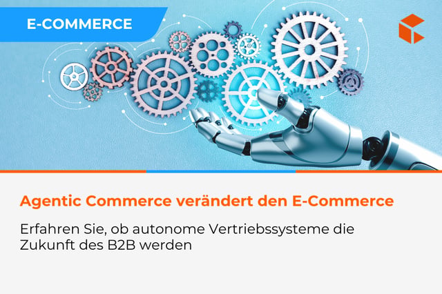 Agentic Commerce - sind autonome Verkaufssysteme die Zukunft des B2B?