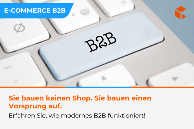 Warum sich der Aufbau eines B2B-E-Commerce lohnt