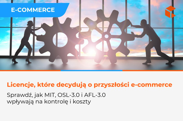 Licencje, które decydują o przyszłości Twojego e-commerce