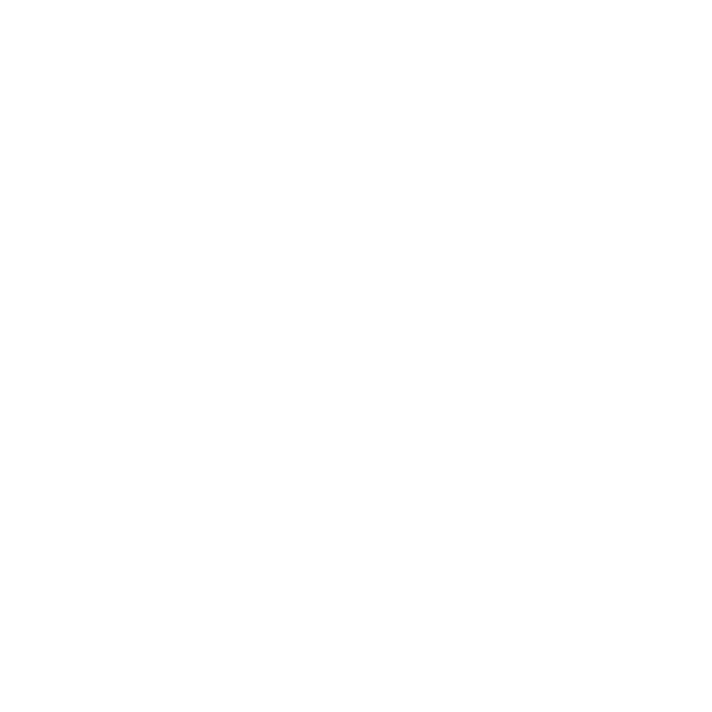 Transformacja cyfrowa Sawade Berlin