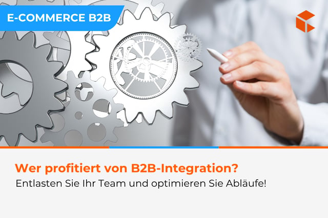 Weniger Chaos, mehr Zeit - wie Systemintegration Teams wirklich entlastet