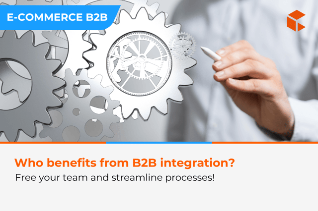 How System Integration Really Eases the Team's Workload