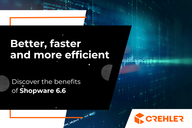 Shopware 6.6 Update - why is it worth it?