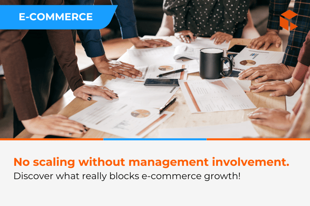 E-commerce without a strategy - a costly mistake that hinders business growth